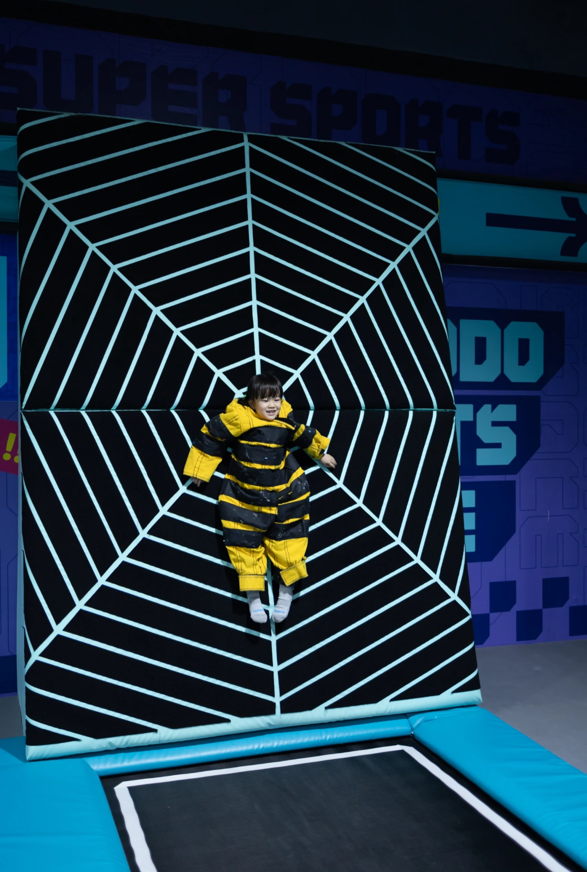 Spider Wall