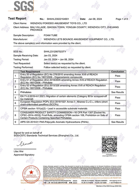 Pipe Casing Analysis Report for Piping