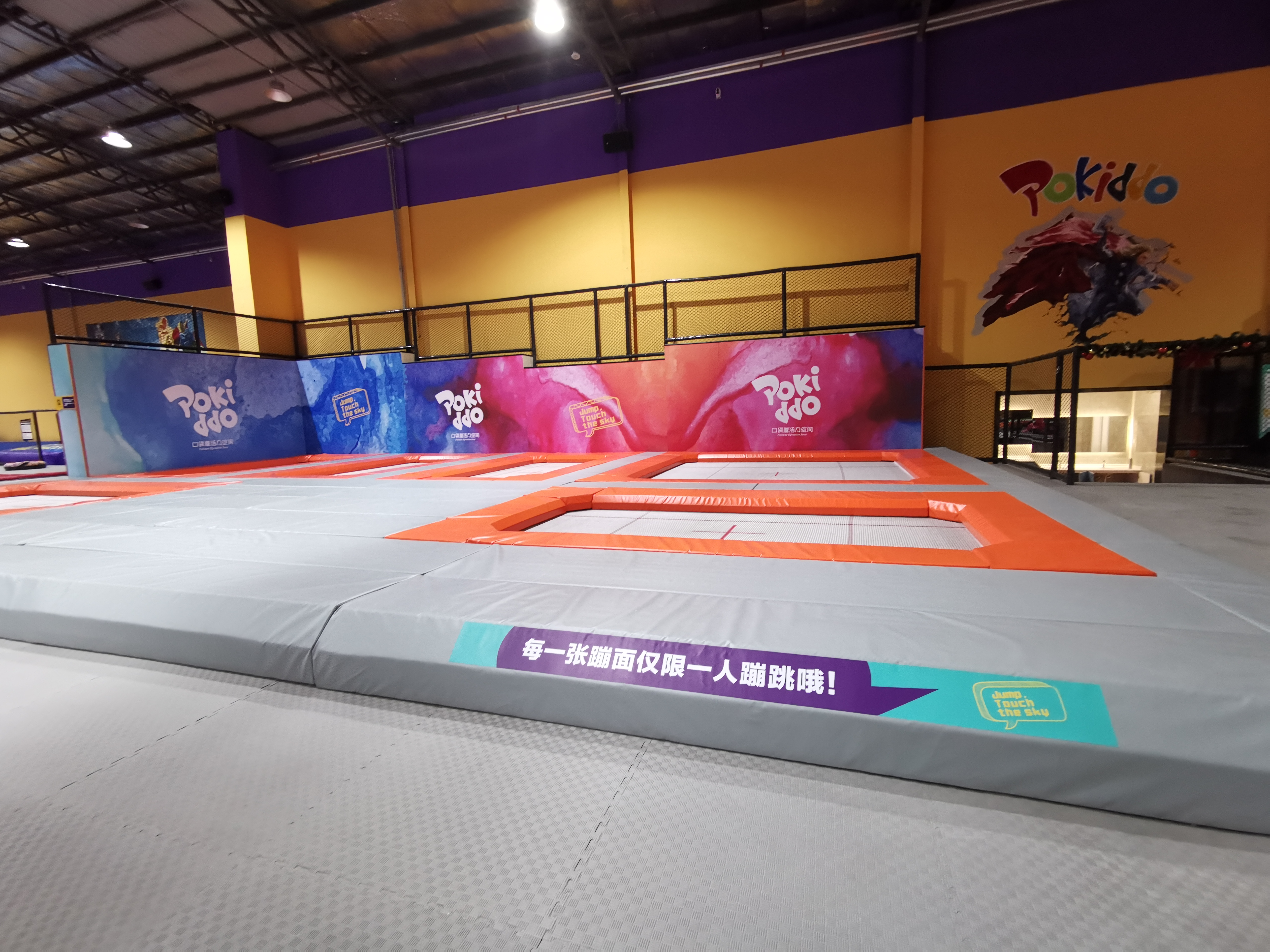 professional trampoline