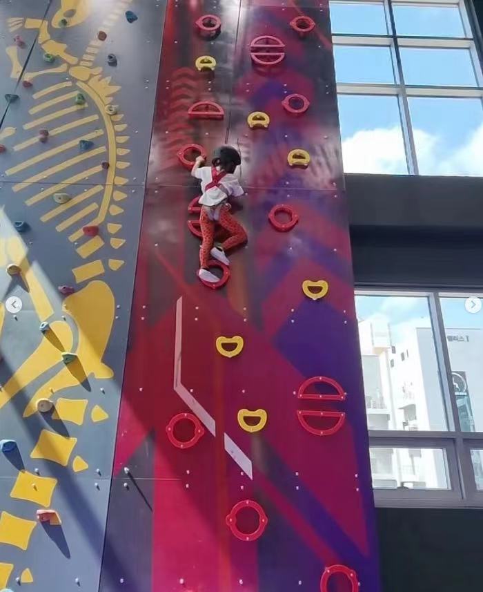climbing wall (6)