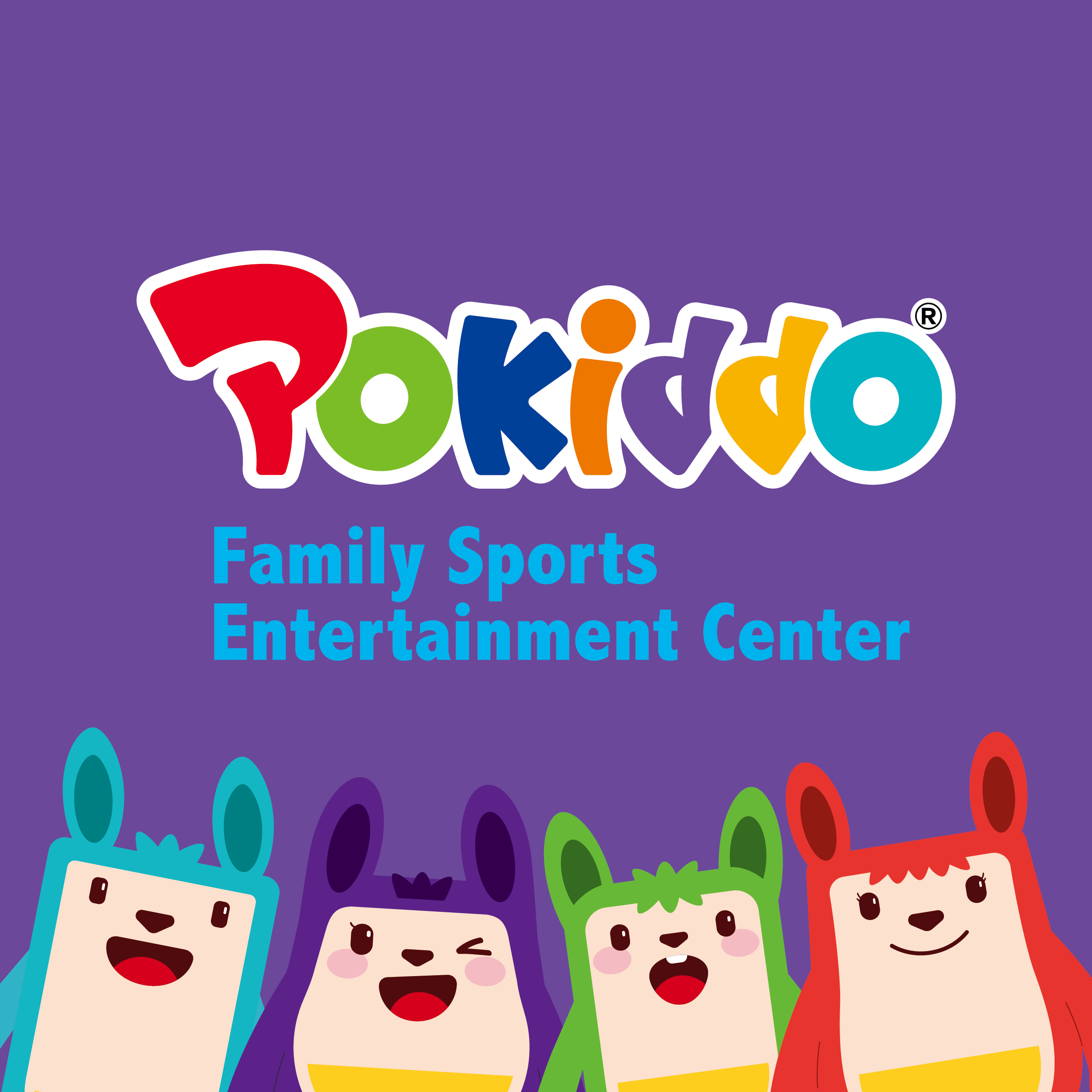 kids indoor playground supplier